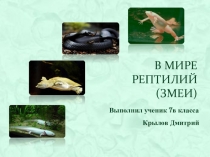 В мире рептилий (змеи)