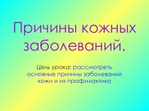 Презентация по биологии на тему Причины кожных заболеваний (8 класс)