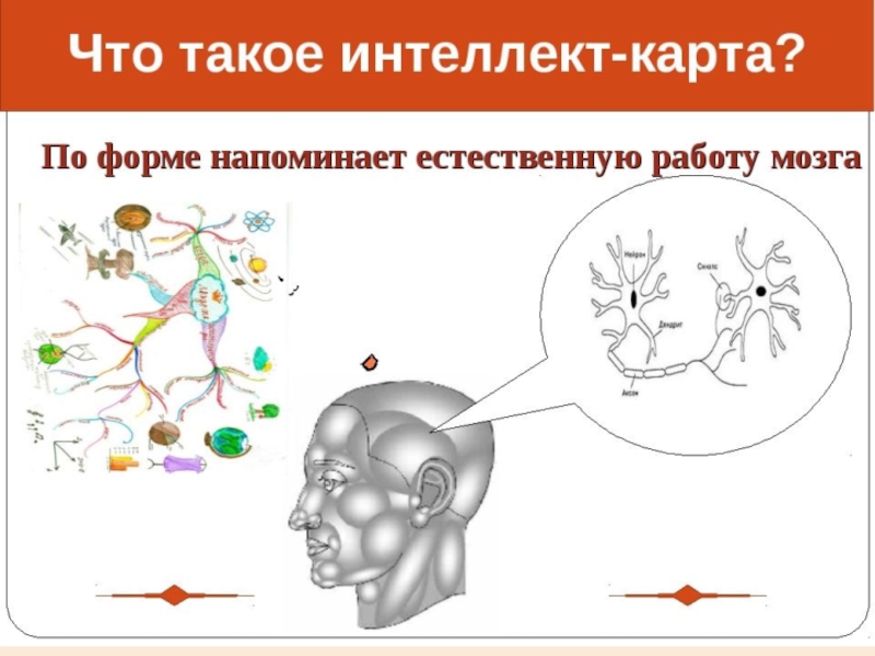 Что такое интеллект. Что такое интеллект 10 класс.