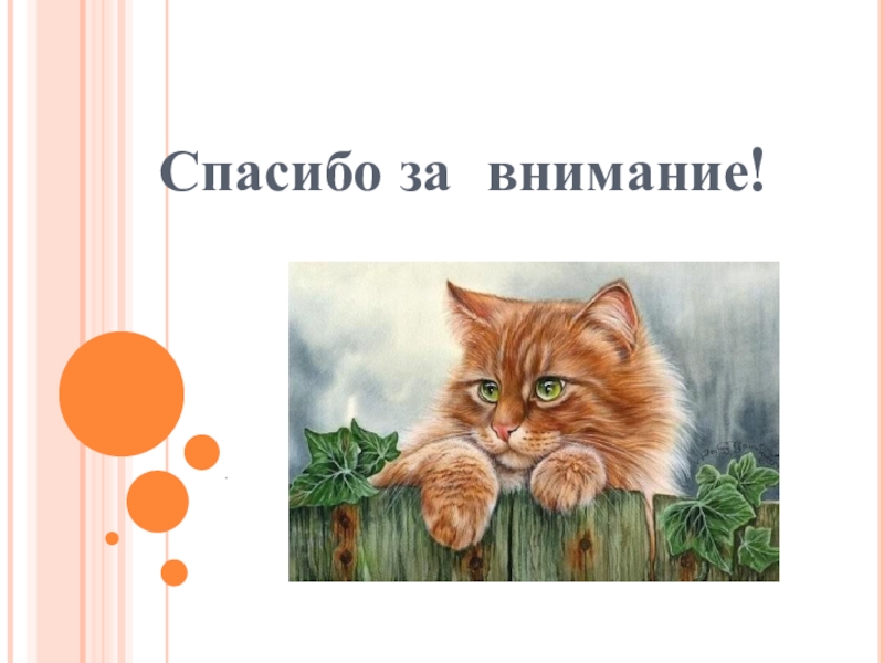 Характеристика героев рассказа кот ворюга паустовский