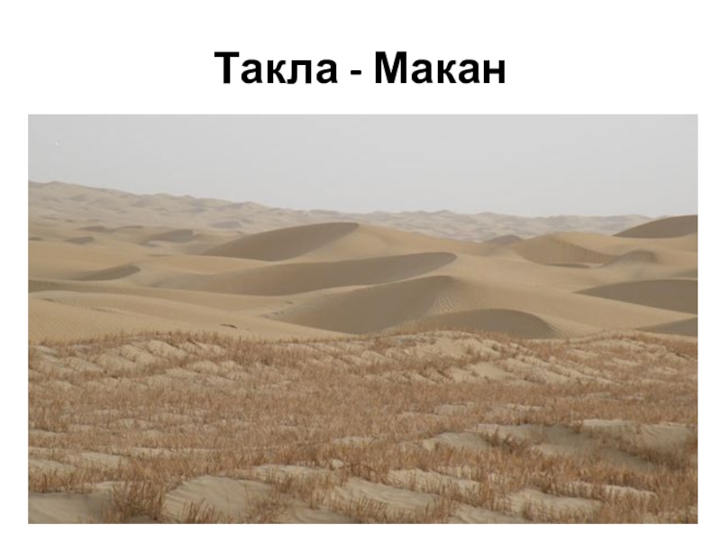 В какой части света пустыня такла макан. Такла-Макан высота. Пустыня Такла-Макан расположена. Такла Макан 119.