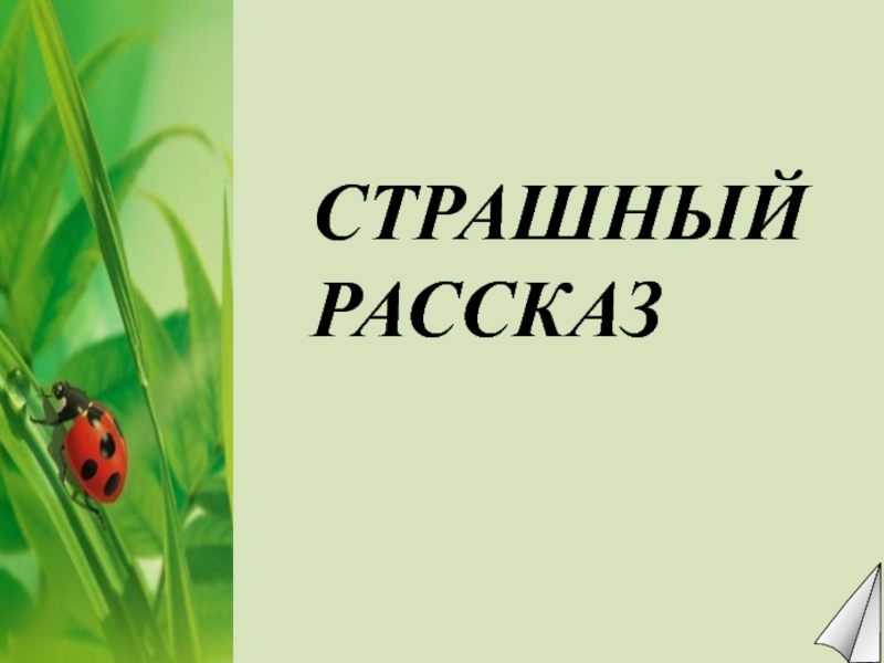 Литературное чтение 2 класс чарушин страшный рассказ презентация 2 класс