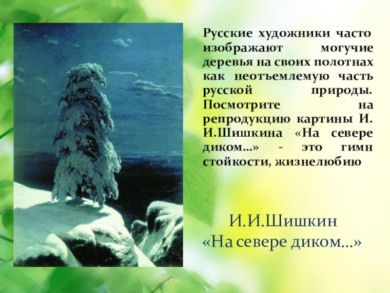 Картина на севере диком сочинение 9 класс. И.И.Шишкина « на севере диком…» (1891г.). Шишкин Иван Иванович на севере диком описание. Шишкин на севере диком презентация. Описание картины на севере диком.