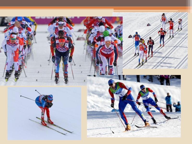 Лыжный спорт виды лыжных ходов. Основы техники передвижения на лыжах. Лыжники и техники. Ходы в лыжном спорте. Лыжный спорт классический ход.