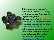 Презентация Волшебный мир сенполий