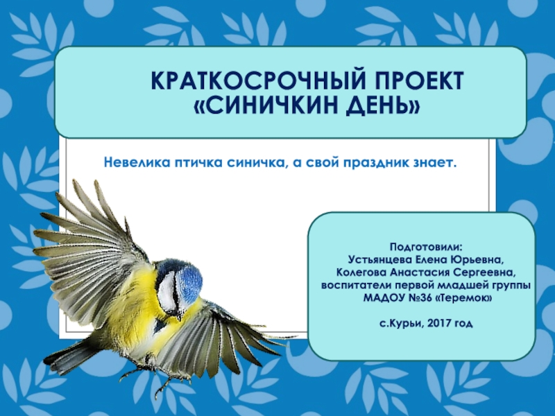 Синичкина день в доу. Проект Синичкин день. Синичкин день в младшей группе. Проект в младшей группе Синичкин день. Проект для 1 младшей группы Синичкин день.