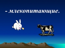 Презентация по окружающему миру  Звери - Млекопитающие (1 класс)