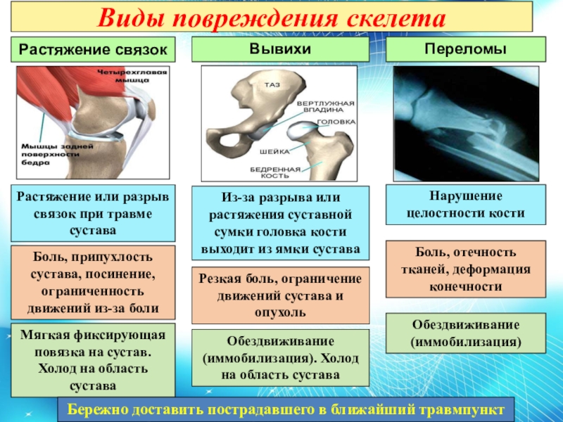 Презентация по травматологии