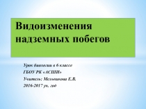 Презентация по биологии Видоизменение надземных побегов
