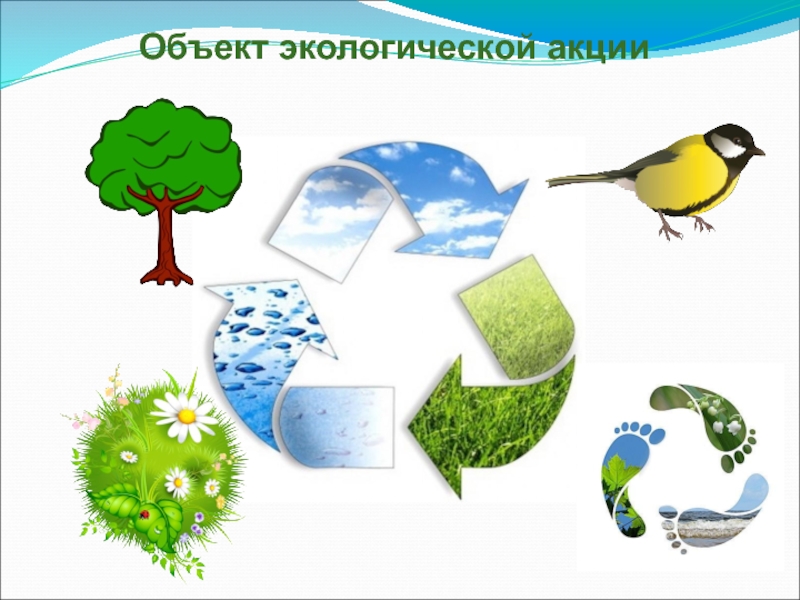 Предметы окружающей среды. Экологические предметы. Объект экологической акции. Экологические акции презентация. Презентация природоохранная акция.