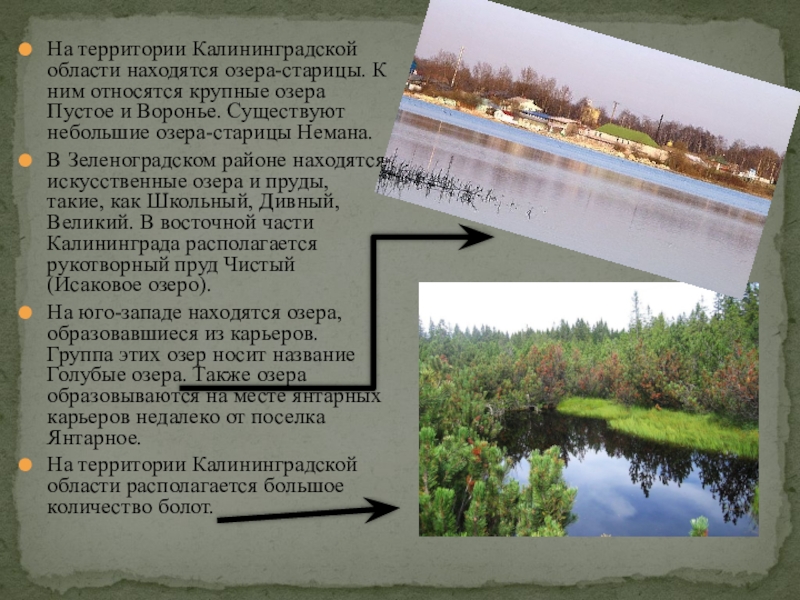 На территории Калининградской области находятся озера-старицы. К ним относятся крупные озера Пустое и Воронье. Существуют небольшие озера-старицы