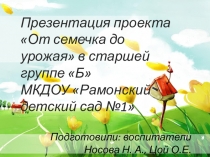 Презентация проектаОт семечка до урожая