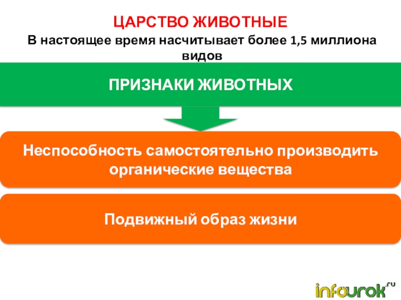 Царство животных насчитывает видов. Царство животные вывод. Общая характеристика царства животных 8 класс. Царство животных признаки жизни.