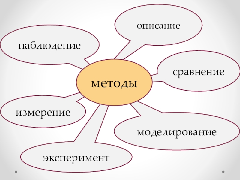 5 класс методы исследования в биологии презентация