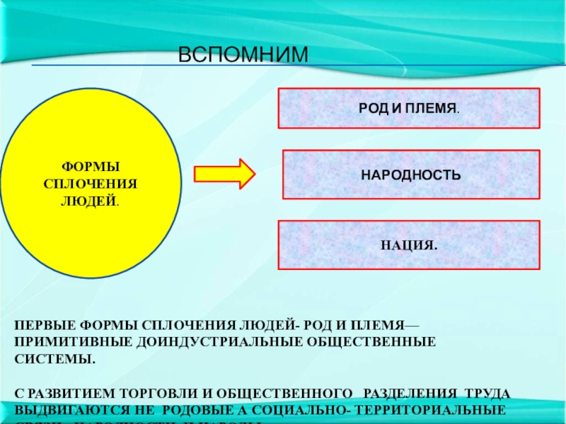 Термин нации. Формы сплочения людей Обществознание. Род племя народность нация. Нация это в обществознании. Нации и межнациональные отношения кластер.