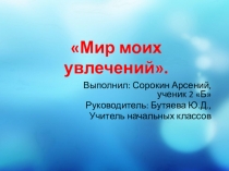 Презентация по изо на тему Мир моих увлечений