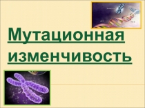 Урок по теме : Мутационная изменчивость