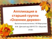 Презентация с детьми старшей группы Аппликация из цветной бумаги Осенний клен
