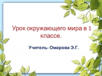 Презентация к уроку по окружающему миру Тема урока: Почему не нужно рвать цветы и ловить бабочек?