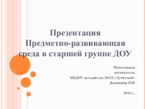 Предметно-развивающая среда в старшей группе ДОУ