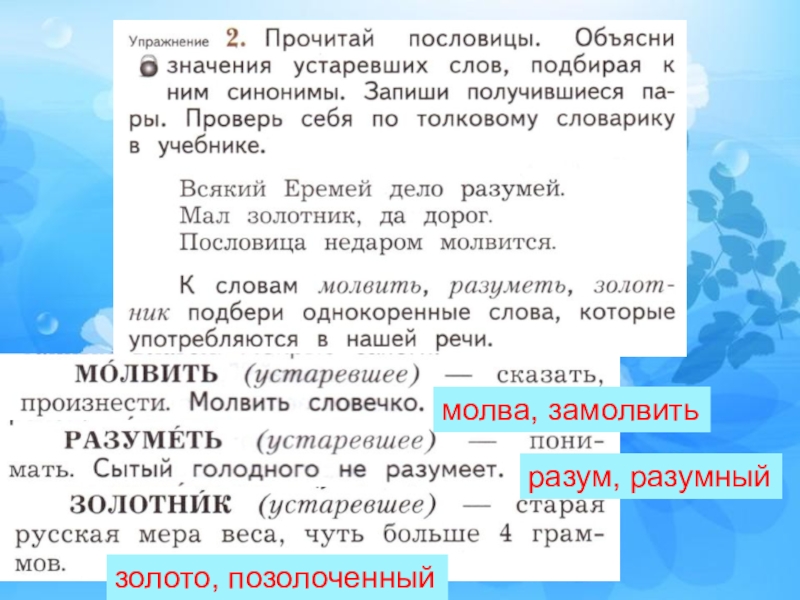 2 класс 21 век презентация устаревшие слова