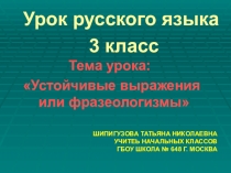 Урок русского языка Устойчивые выражения или фразеологизмы