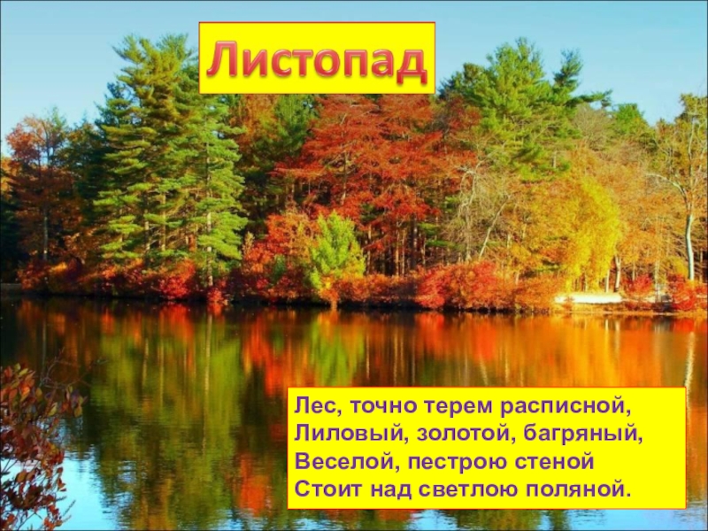 Точно терем. Мнемотаблица Бунин лес точно Терем расписной. Лес точно Терем. Лес точно Терем расписной лиловый золотой багряный фото. Лес точно Терем расписной лиловый золотой мнемотаблица.