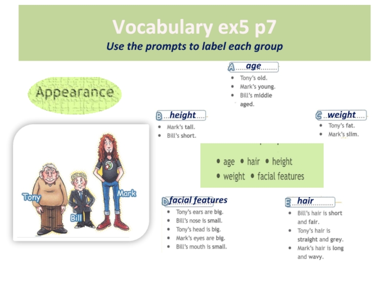 Vocabulary ex5 p7 Use the prompts to label each group ageheightweightfacial featureshair