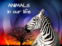 Презентация по английскому языку на темуЖивотные (6 класс)