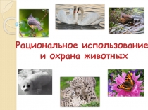 Рациональное использование и охрана животных