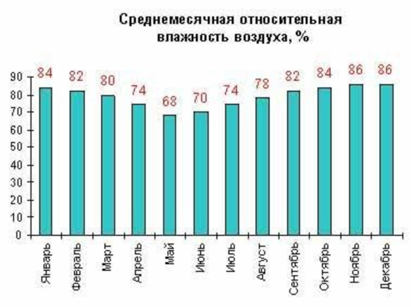 Средняя относительная влажность воздуха. Питер влажность воздуха средняя. Средняя влажность воздуха в Москве по месяцам. Средняя влажность воздуха летом.