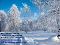 Презентация по познавательному развитию в средней группе Как звери зимуют в лесу