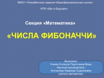 Презентация по алгебре 8 класс на тему Числа Фибоначчи