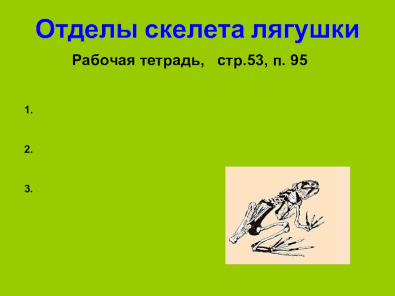 Скелет опора организма 6 класс биология презентация