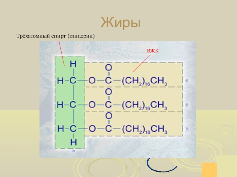 Строение жиров. Строение жиров биология. Структура жиров биология. Жиры в биологии структура.