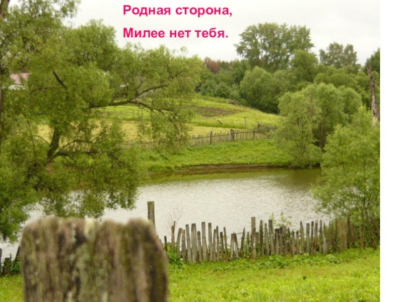 Село родное край родной. Родная сторона. Местность, родная сторона. Моя родная сторона. Картинка на тему родная сторона.