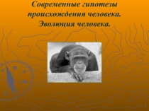 Презентация по биологии Современные гипотезы происхождения человека. Эволюция человека