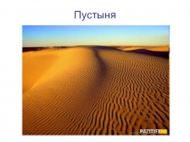 Презентация по окружающему миру на тему Растения и животные пустыни