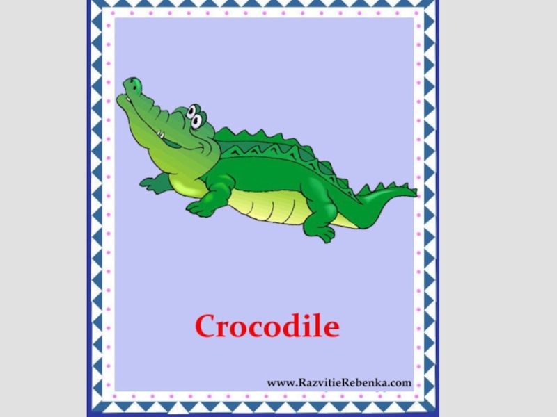 Игра крокодил на английском. Карточки животных для детей крокодил,. Карточки по английскому языку крокодил. Карточки с английскими словами для детей крокодил. Про крокодила по английскому языку.