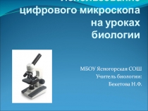 Цифровой микроскоп на уроке биологии