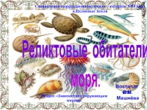Презентация Реликтовые обит. Знакомство с окружающим миром.