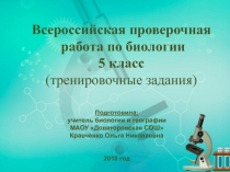 Презентация по биологии на тему  Подготовка к ВПР по биологии (5 класс)