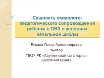 Презентация Сущность психолого-педагогического сопровождения ребенка с ОВЗ в условиях начальной школы