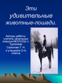 Презентация проекта по окружающему миру на тему Эти удивительные животные лошади