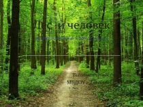 Презентация  Лес и человек
