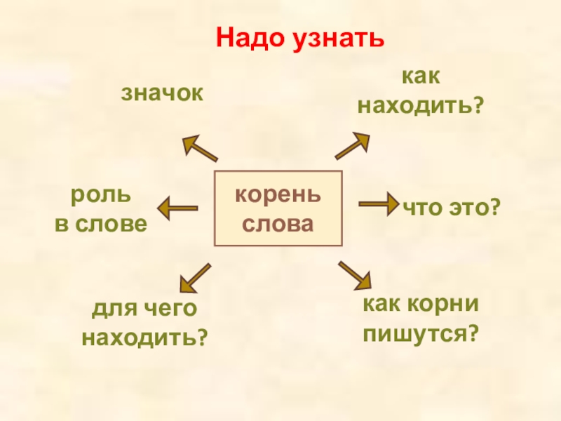 корень слова 2 класс открытый урок. однокоренные слова 2 класс презентация. тема урока однокоренные слова. корень слова 2 класс открытый урок. корень памятка.