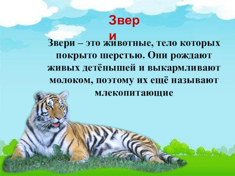 Конспект с презентацией по окружающему миру