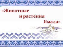 Презентация Животные и растения Ямала