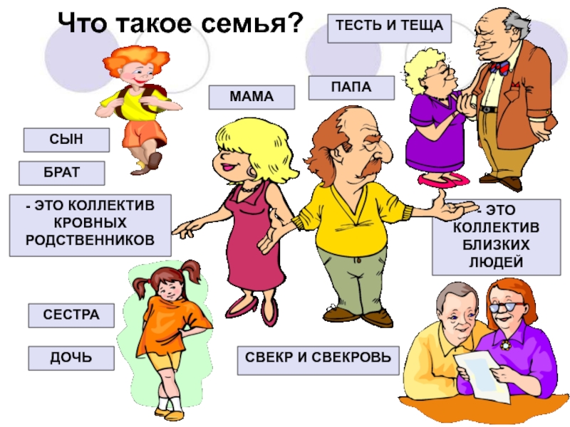 Проект семейный портрет 5 класс по обществознанию