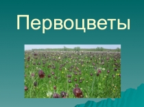 Раннецветущие растения по биологии 6 класс